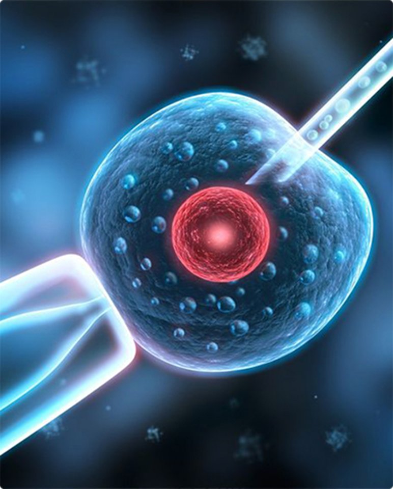 Egg Freezing-Jellyfish Reproductive Medical Center