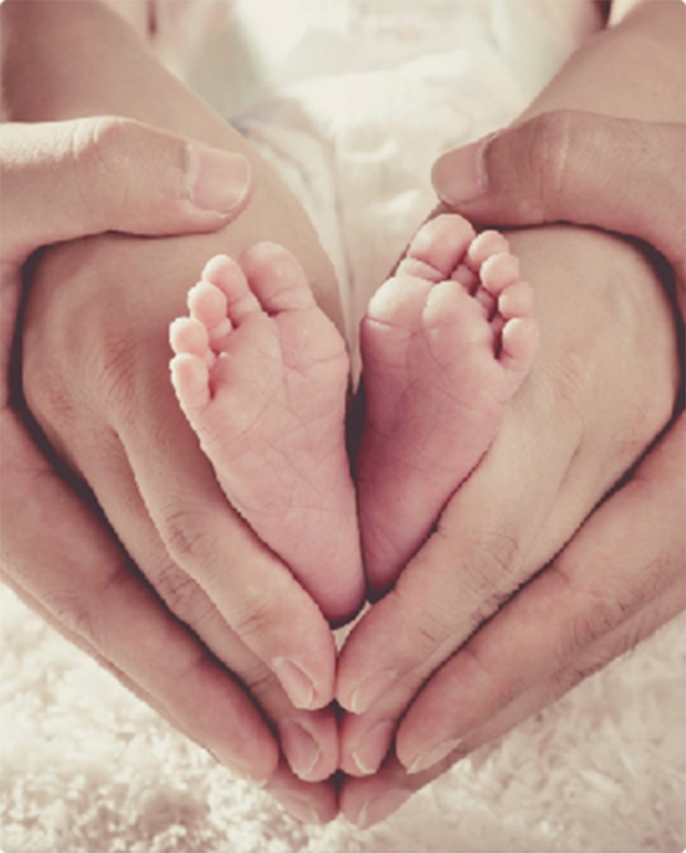 In Vitro Fertilisation (IVF)-Jellyfish Reproductive Medical Center